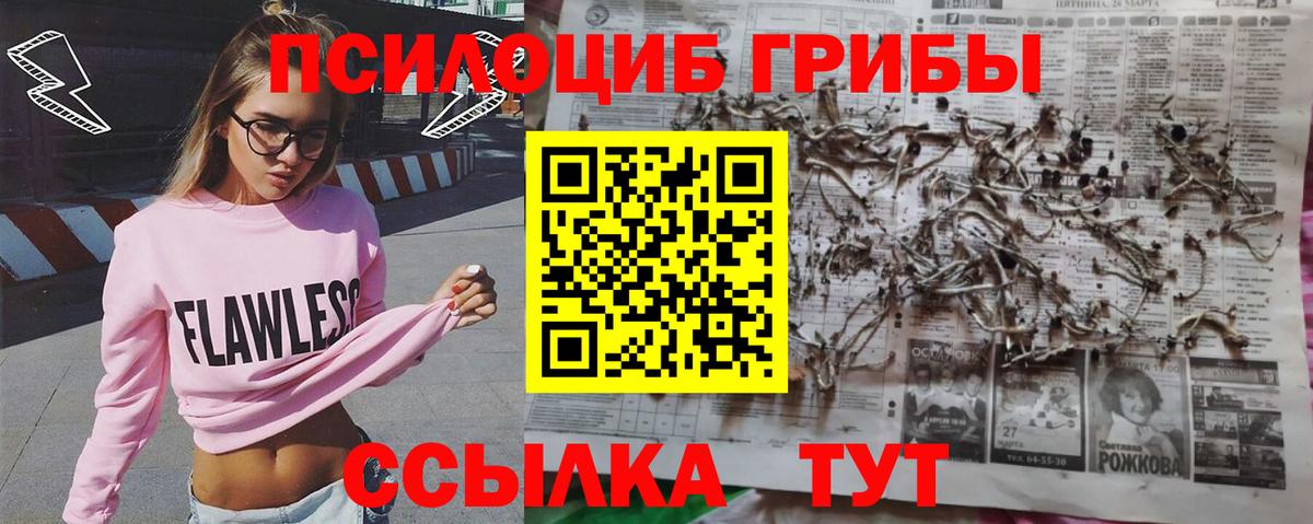 Псилоцибиновые грибы Cubensis Амурск