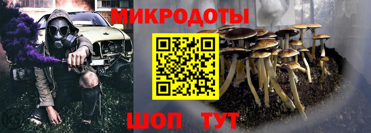 Галлюциногенные грибы GOLDEN TEACHER  Вход с VPN  Амурск 