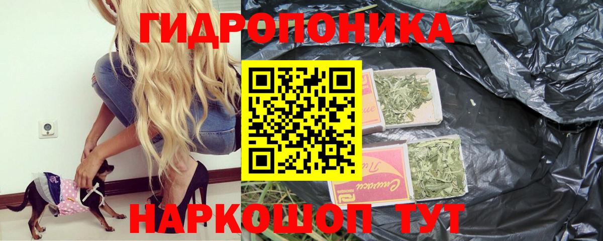 Шишки марихуана индика  Конопля конопля  Вход с VPN  Канабис THC 21%  Амурск 